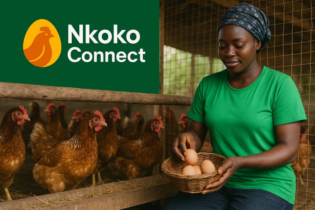 Farmer holding eggs