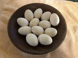 Duck Eggs